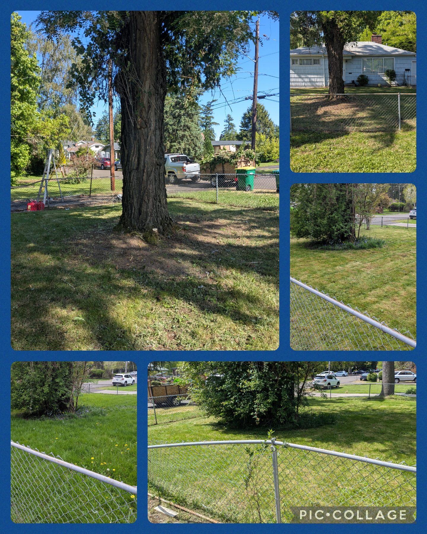Lawn Care & Cleanup